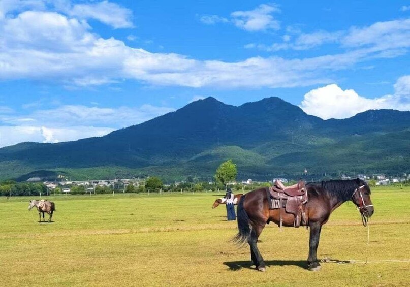 Picture 5 for Activity Jade Dragon Snow Mountain Countryside Experience 1