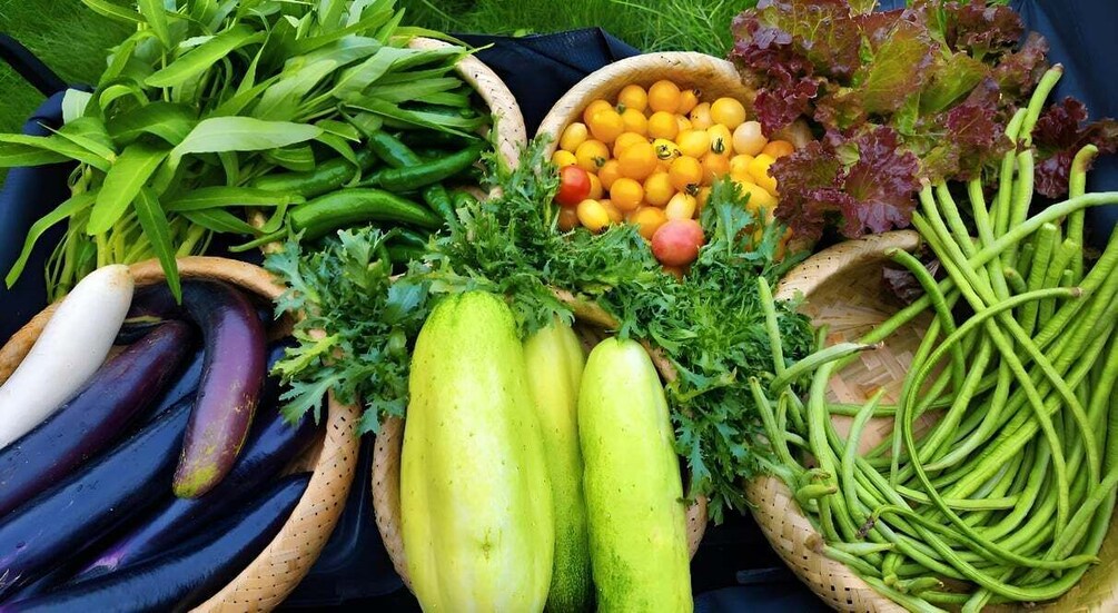 From Garden to Table: Guilin Farm & Family Meal Experience 1