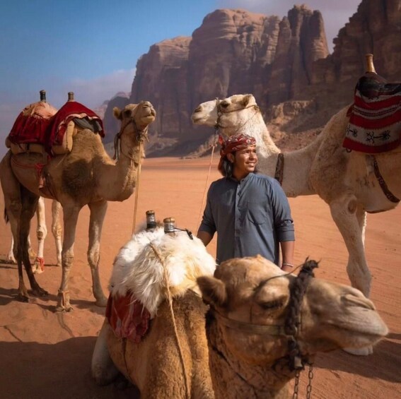 A person with camels in a desert landscape with rock formations. 3