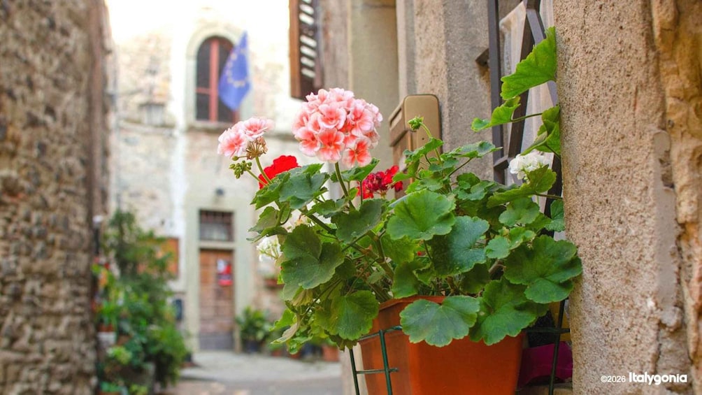 Picture 1 for Activity Anghiari Private Tour: Walk Through a Medieval Masterpiece 1