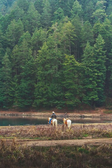 Picture 3 for Activity Leavenworth: Creekside Forest Horse Ride 5