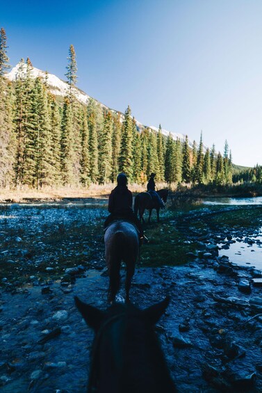 Leavenworth: Creekside Forest Horse Ride 1