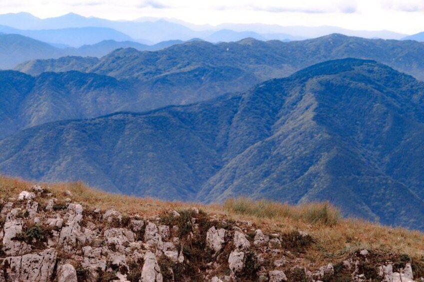 Mt Ibuki Drive and Hike up to the Sky Tour Private Car Guided 5