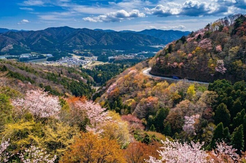 Mt Ibuki Drive and Hike up to the Sky Tour Private Car Guided 2