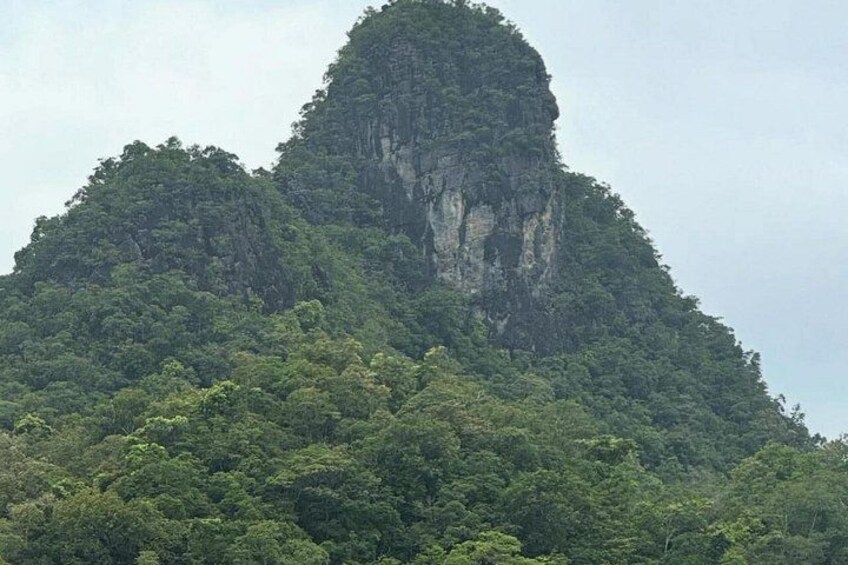A mountainous landscape with dense forest coverage and a prominent rock formation. 4