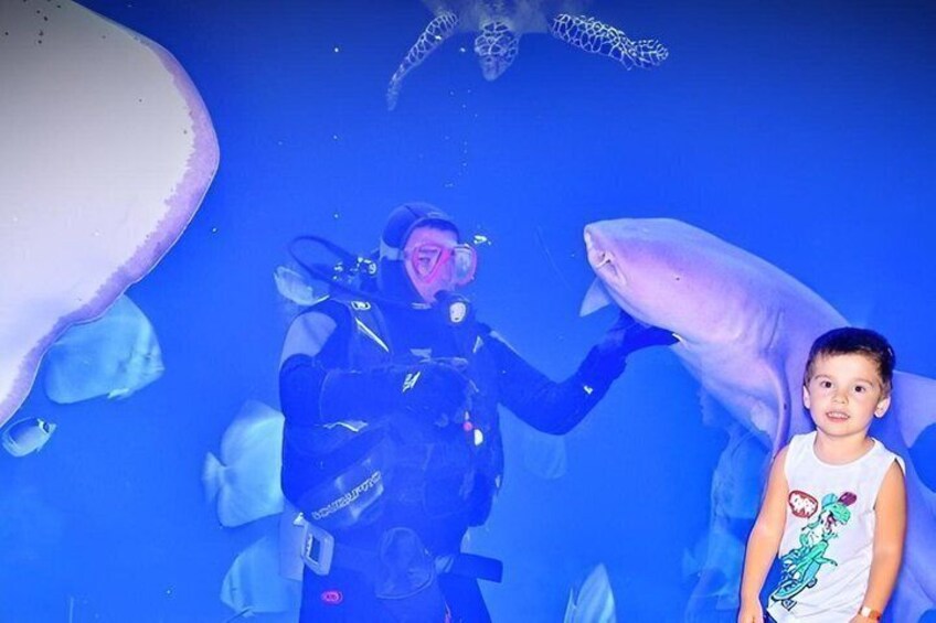 Hurghada Grand Aquarium & Sand City: Admission Ticket & Transfers 1