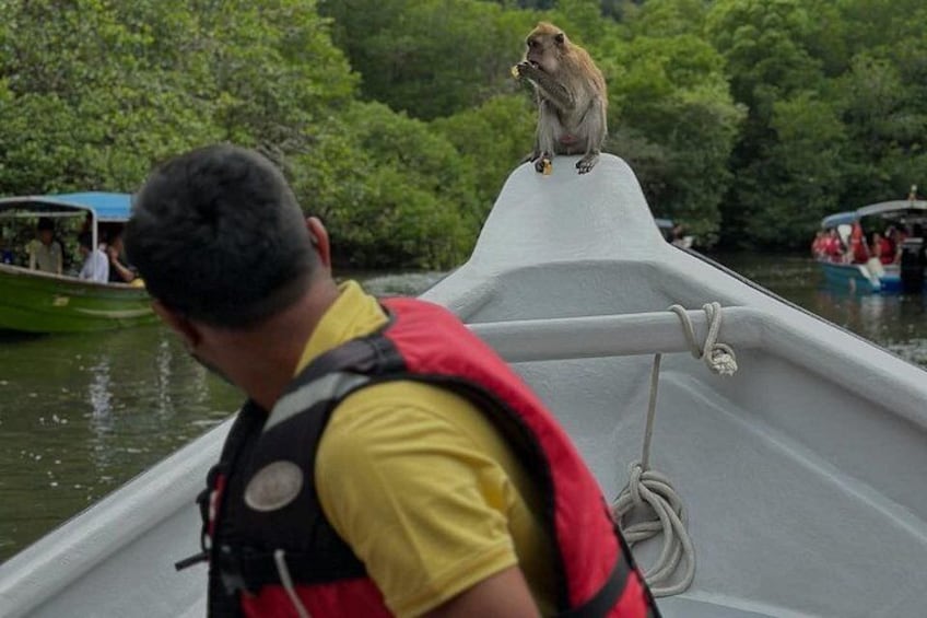A boat with a monkey on the bow, a person in a yellow shirt, and a green boat in the background. 4