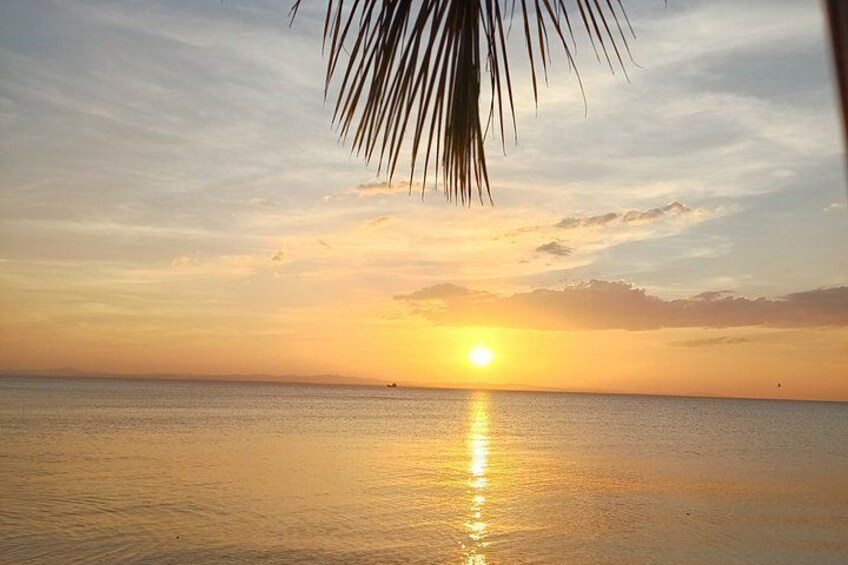 A sunset over a calm sea with a palm tree in the foreground. 1