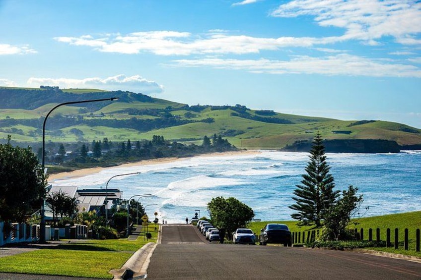 Sydney Secret Coastline Kiama Blowhole with Wollongong Wildlife 1