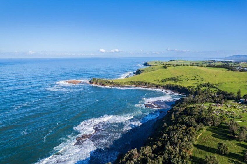 Sydney Secret Coastline Kiama Blowhole with Wollongong Wildlife 4