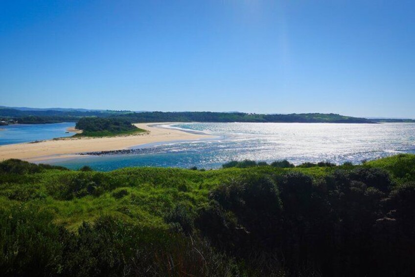 Sydney Secret Coastline Kiama Blowhole with Wollongong Wildlife 5