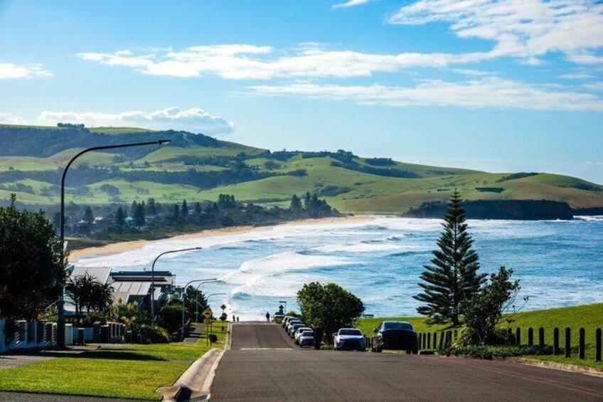 Sydney Secret Coastline Kiama Blowhole with Wollongong Wildlife 1