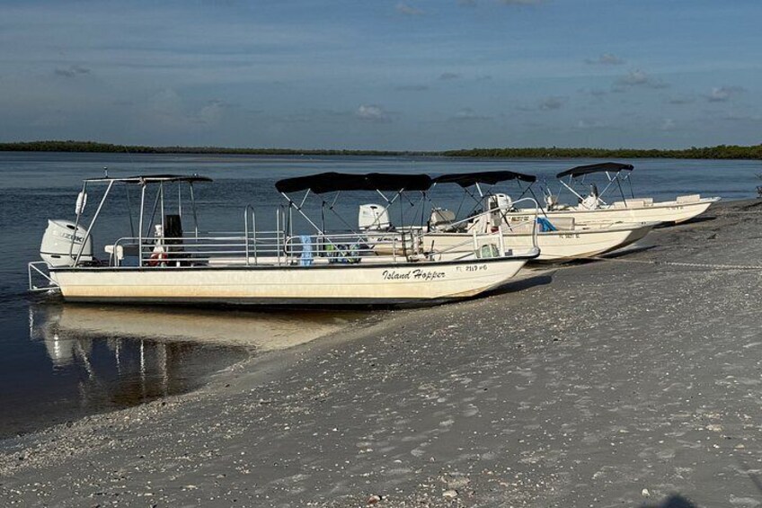 Bachelorette Party Boat Dolphins Sandbar and Shelling Adventure 3