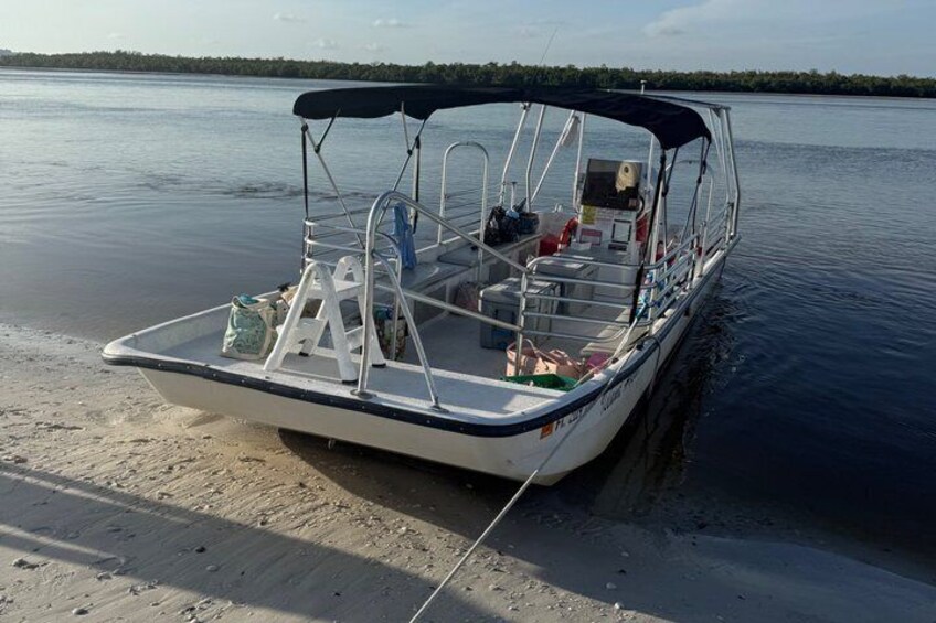 Bachelorette Party Boat Dolphins Sandbar and Shelling Adventure 4