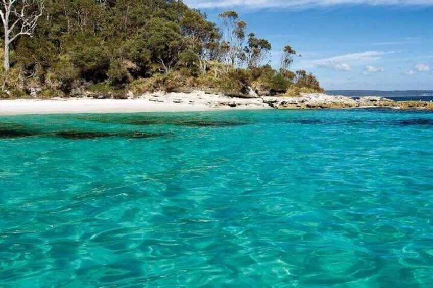Sydney to Jervis Bay Day Tour – Luxury Coastal EV Experience 3