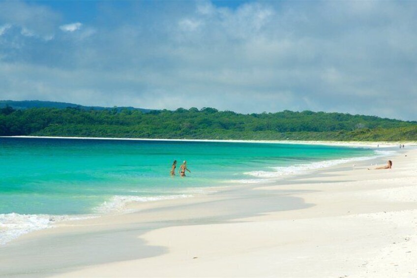 Sydney to Jervis Bay Day Tour – Luxury Coastal EV Experience 5