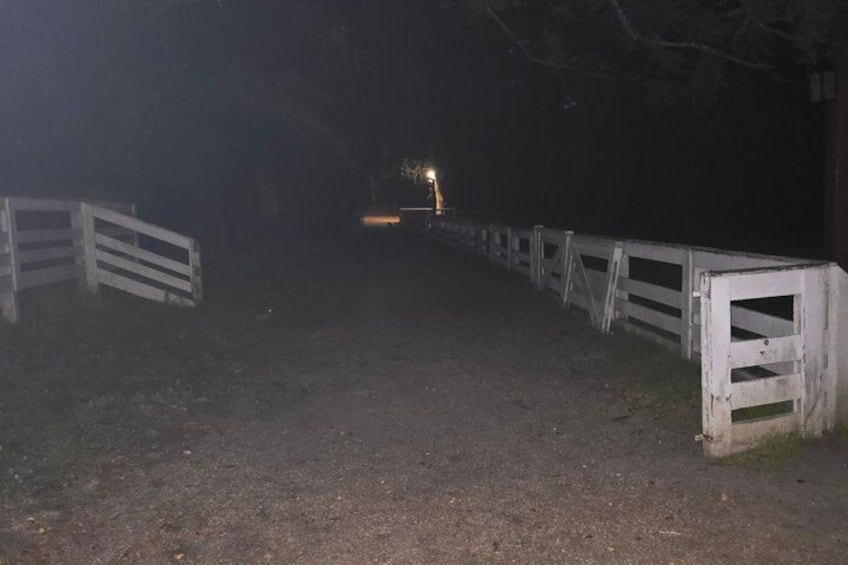 A dimly lit path with wooden railings on both sides, leading to a distant light source. 5