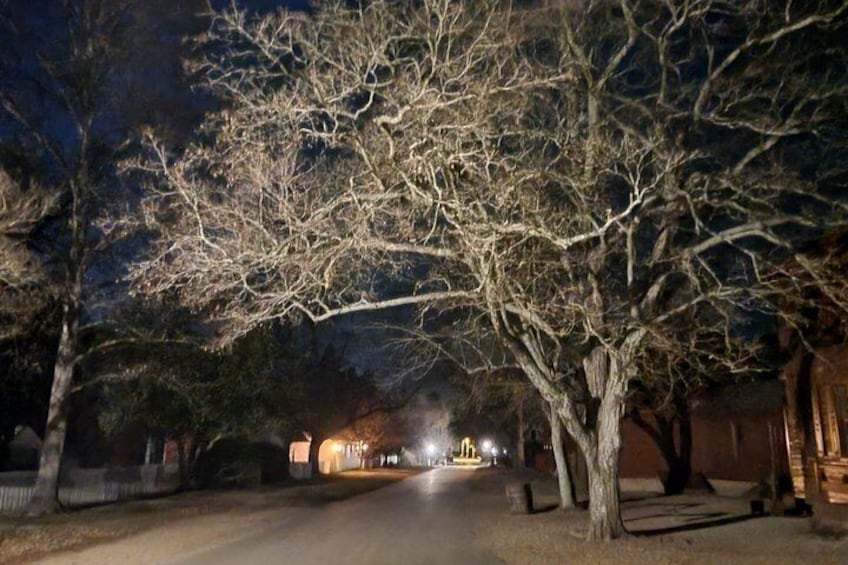 A nighttime street scene with bare trees and distant streetlights. 1