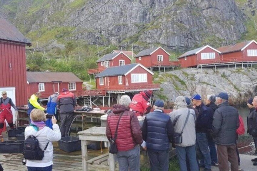 Private Lofoten Tour from Svolvær for Large Groups 3