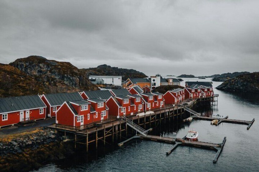 Lofoten Highlights Tour: Reine, Hamnøy & Å from Svolvær 4