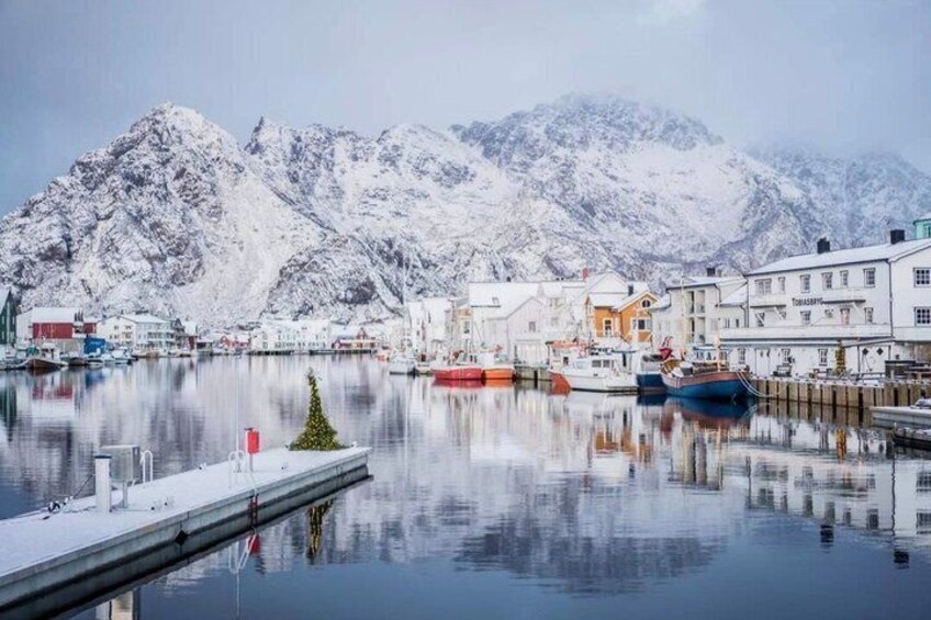 Lofoten Highlights Tour: Reine, Hamnøy & Å from Svolvær 2