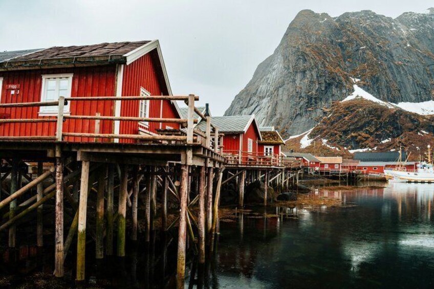Lofoten Highlights Tour: Reine, Hamnøy & Å from Svolvær 1