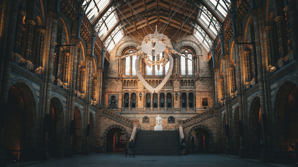 The Natural History Museum Guided Tour 1