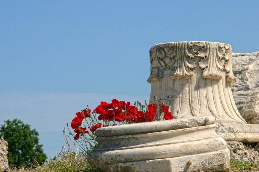 A stone column with red poppies. 3
