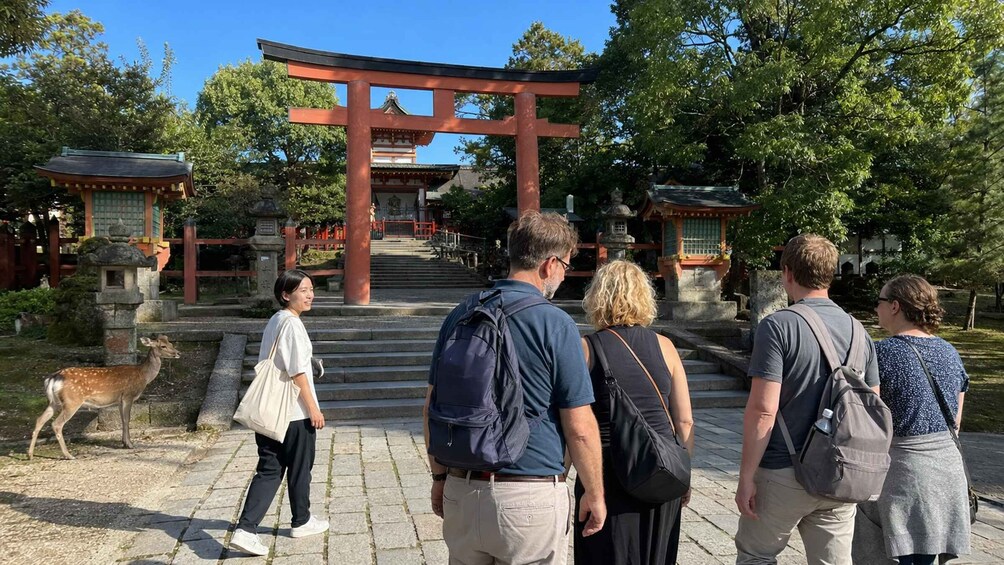 Picture 1 for Activity Nara Before the Crowds: Private Deer & Shrine Walk 4