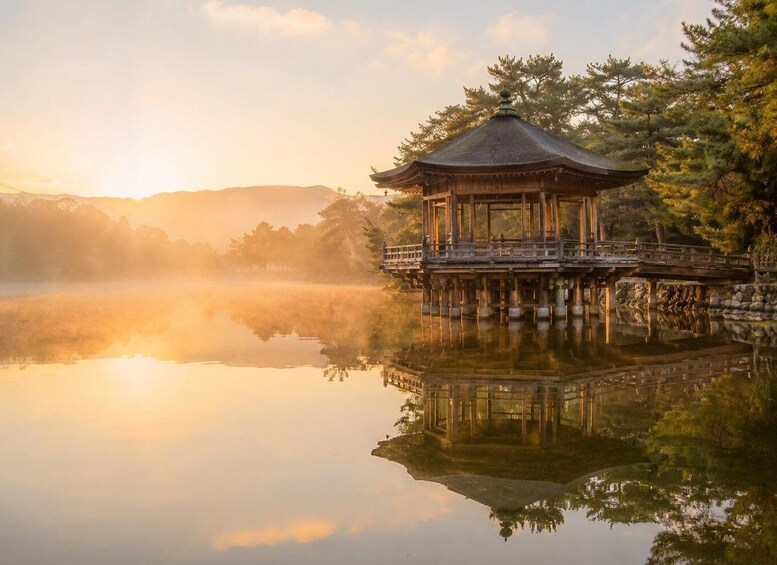 Picture 4 for Activity Nara Before the Crowds: Private Morning Walk 3