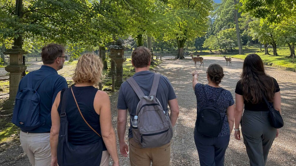 Nara Before the Crowds: Private Deer & Shrine Walk 2