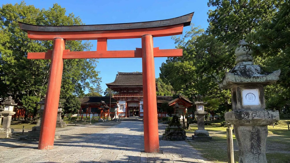 Picture 9 for Activity Nara Before the Crowds: Private Deer & Shrine Walk 5