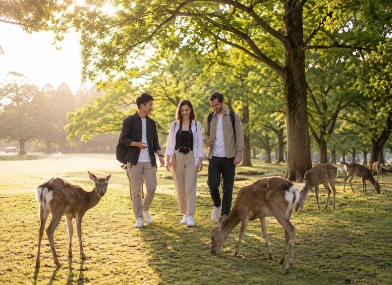Picture 1 for Activity Nara Before the Crowds: Private Morning Walk 2