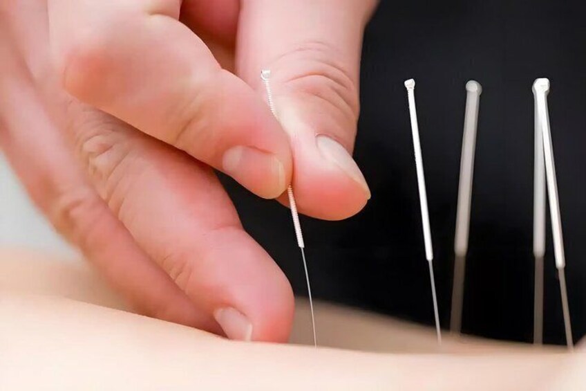 Shanghai Half Day Authentic Kung Fu and TCM or Massage 3