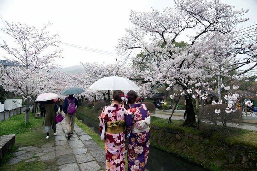 A pathway lined with cherry blossoms, people walking, and traditional Japanese attire. 2