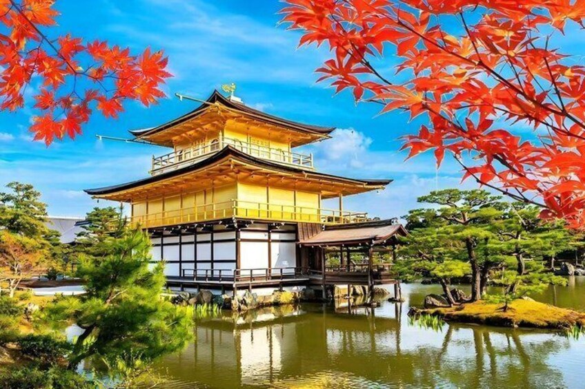 A One Day Tour of Kyoto’s Traditional Japanese Charm 1