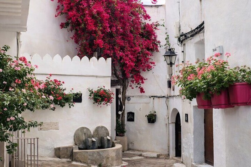 Tangier Walking Tour: Explore Top Sights & Hidden Gems 3