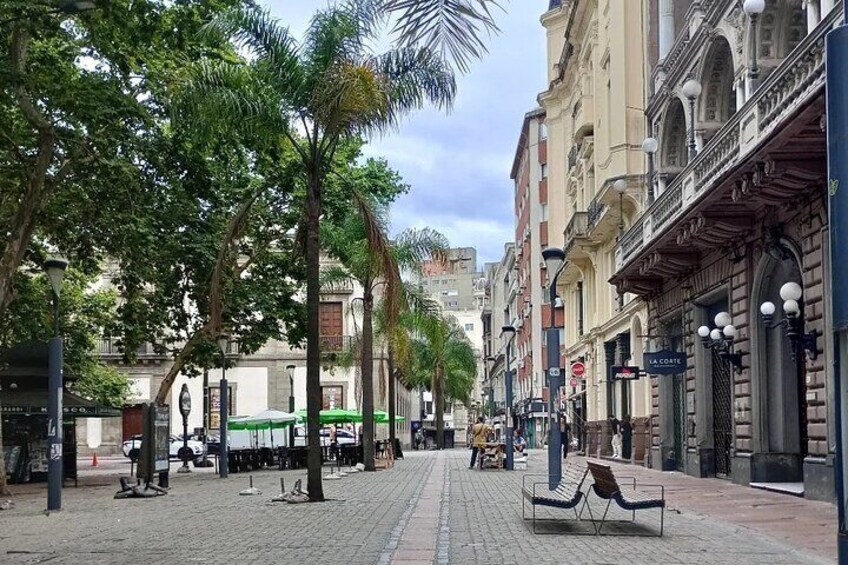 Montevideo City Walking Tour 2