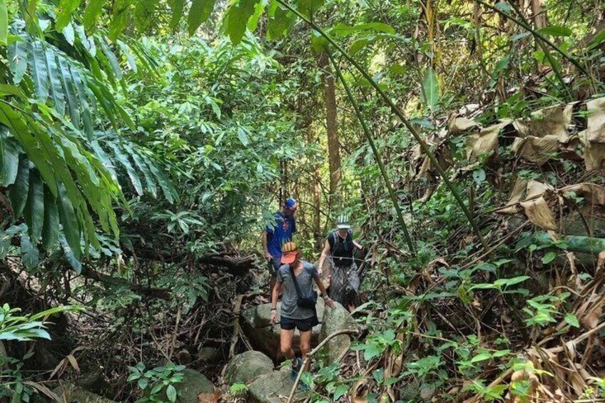 Two hikers navigating a rocky terrain in a dense forest. 3