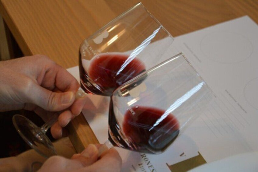 Half Day Tour in Prosecco and Amarone with Wine Tasting 2