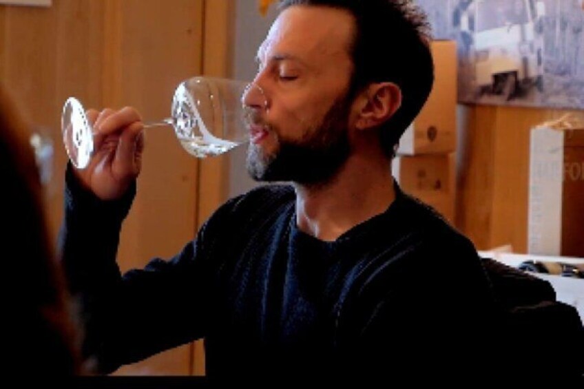 Half Day Tour in Prosecco and Amarone with Wine Tasting 5