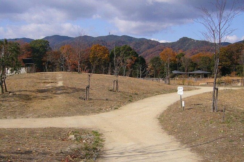 A dirt path leading to a building with a sign, surrounded by trees and mountains in the background. 3