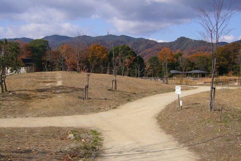Private Full Day Arima Onsen and Mt Rokko Tour 3