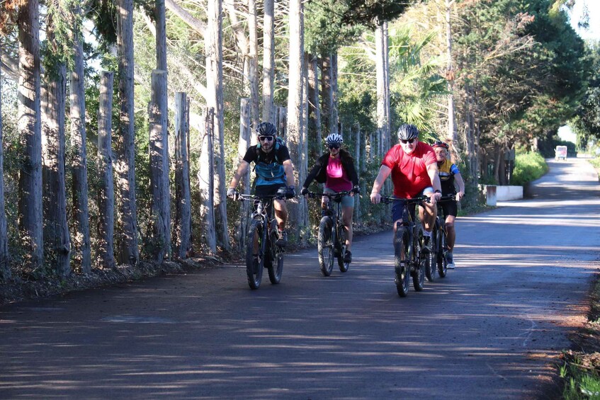 Tavira: Ria Formosa Salt Pans & Countryside E-Bike Tour 1