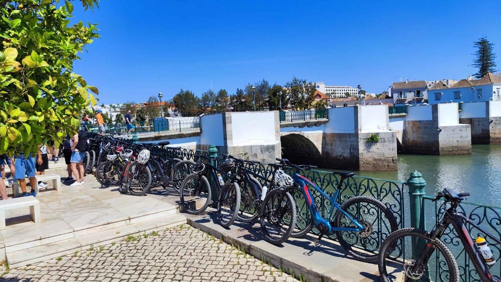 Picture 4 for Activity Tavira: Ria Formosa Salt Pans & Countryside E-Bike Tour 2