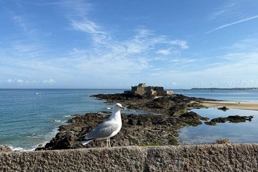 A seagull on rocky shore, calm sea, and a distant building. 2