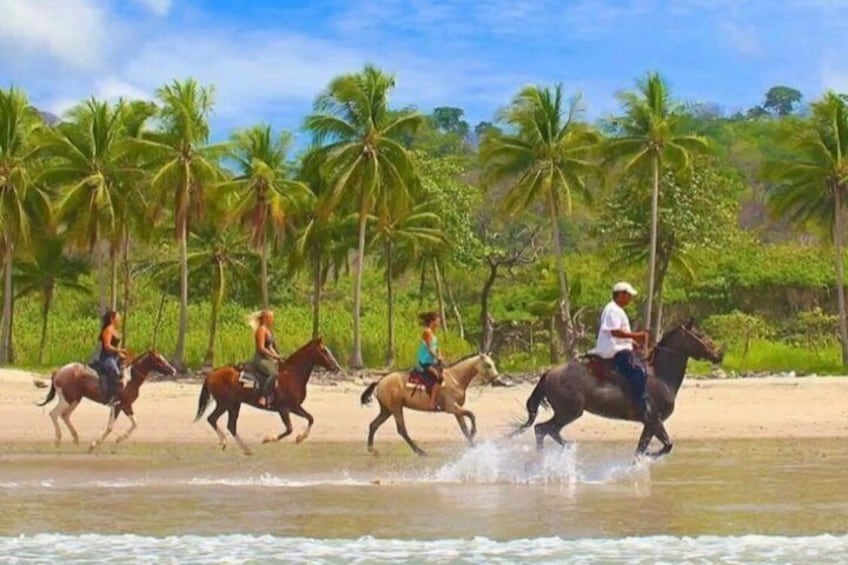 People riding horses on a beach with palm trees in the background. 4