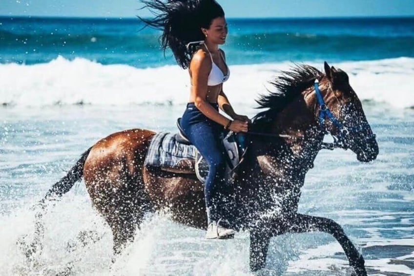 A person riding a horse on a beach with waves. 3