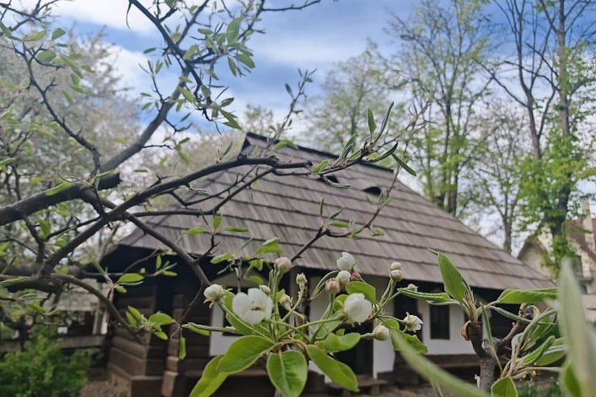 A wooden cabin with a sloped roof, surrounded by trees and blooming flowers. 4