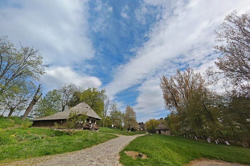 A rural landscape with a cobblestone path, a wooden house, and trees. 5